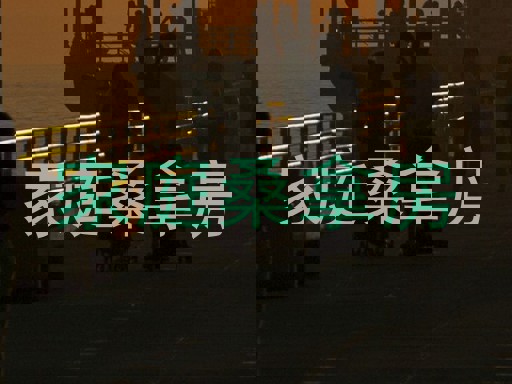 家庭桑拿房