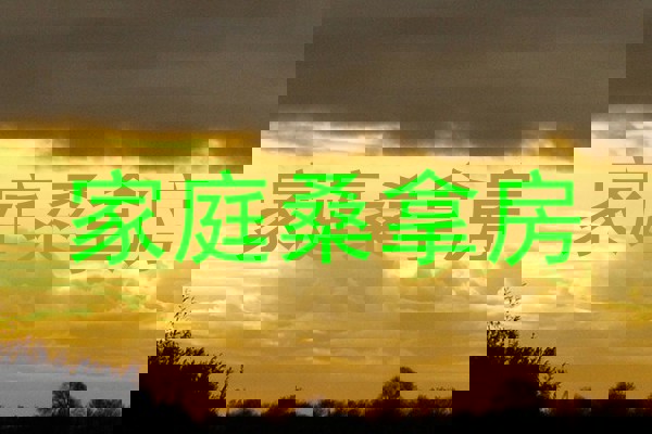 家庭桑拿房