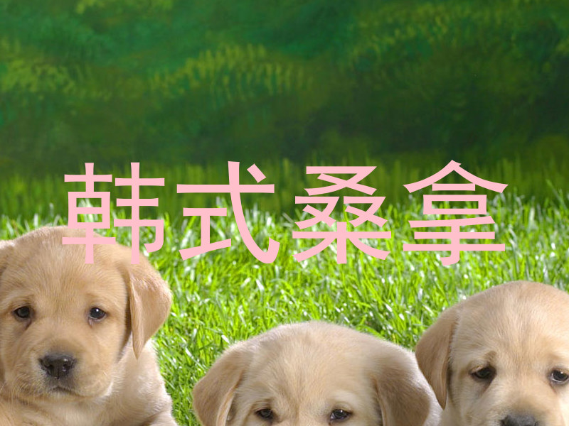 韩式桑拿