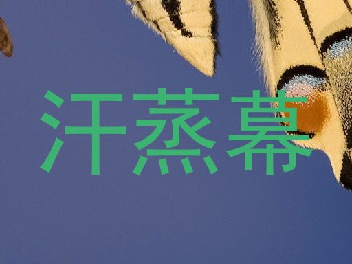 汗蒸幕