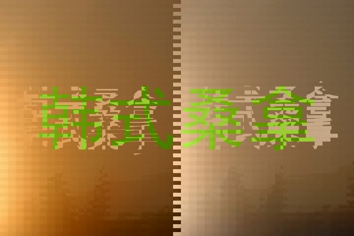 韩式桑拿