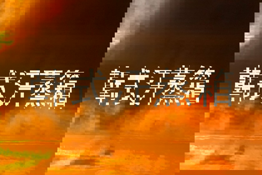 韩式汗蒸箱