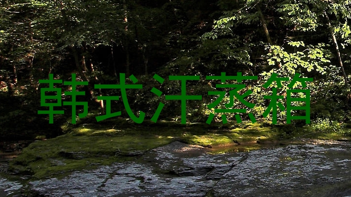 韩式汗蒸箱