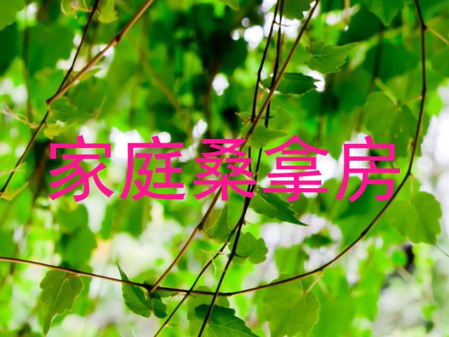 家庭桑拿房