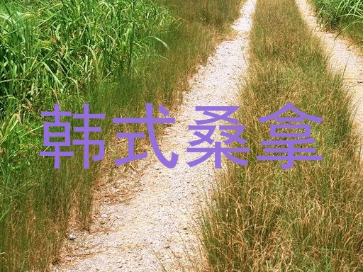 韩式桑拿