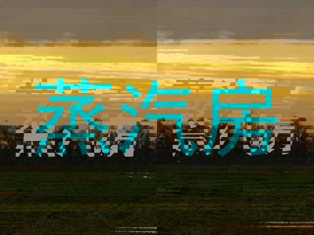 蒸汽房