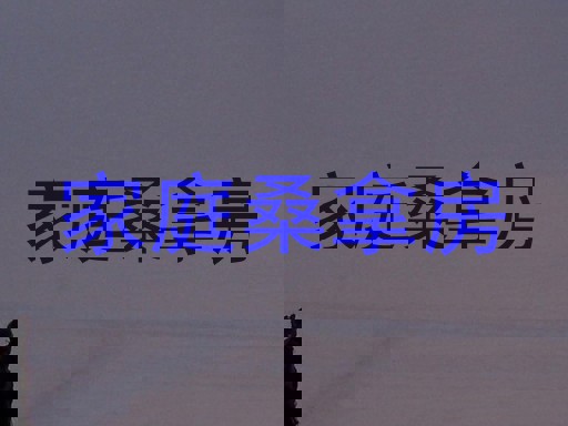 家庭桑拿房