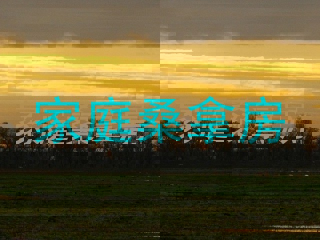 家庭桑拿房