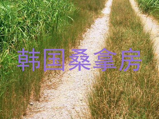 韩国桑拿房