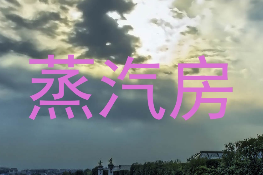 蒸汽房