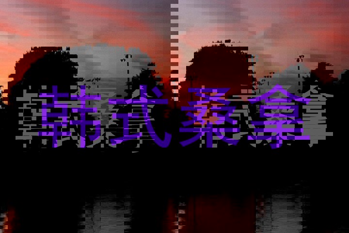 韩式桑拿
