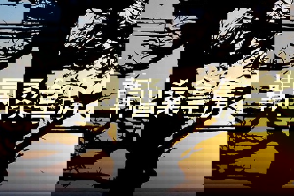 韩国桑拿房