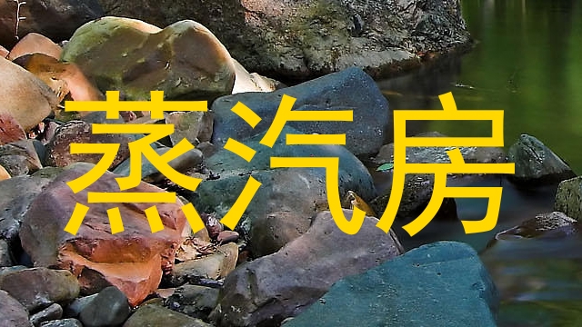 蒸汽房