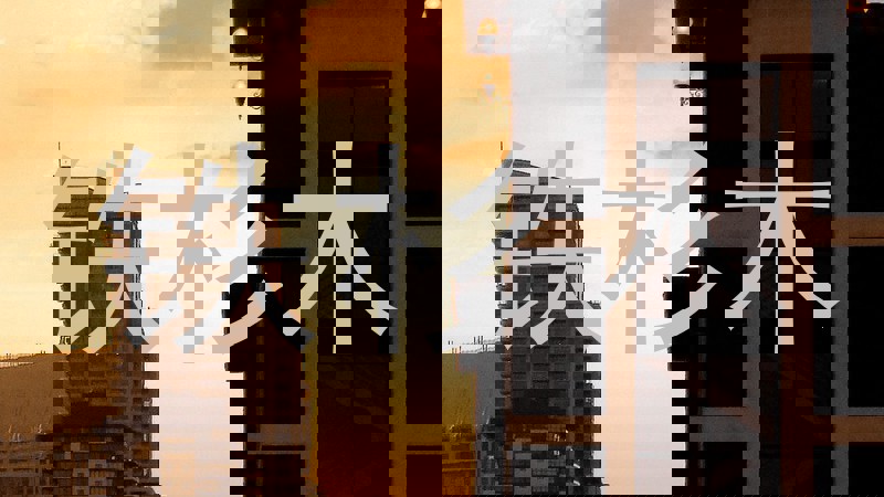 铁杉木