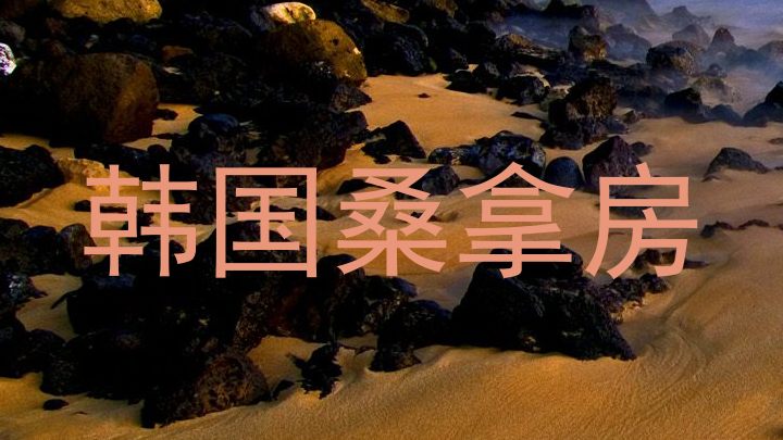 韩国桑拿房