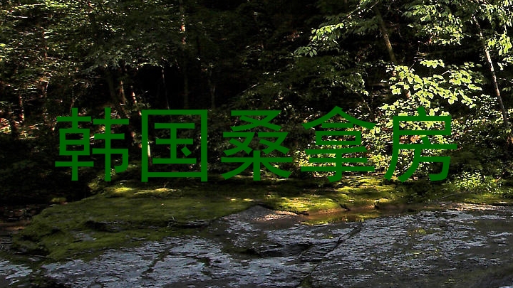 韩国桑拿房