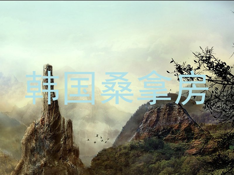 韩国桑拿房