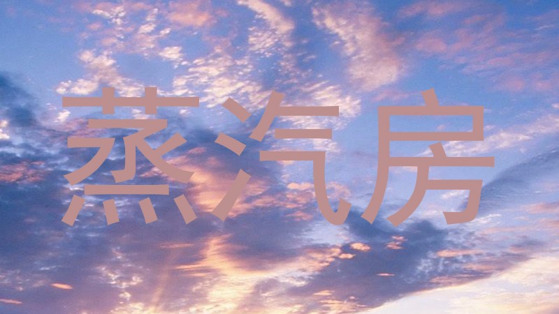 蒸汽房