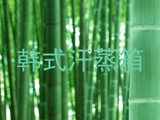 韩式汗蒸箱