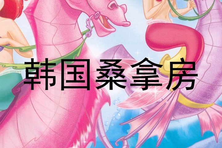 韩国桑拿房