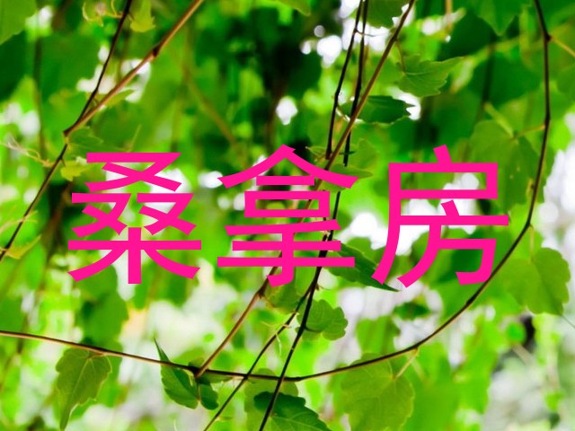 桑拿房