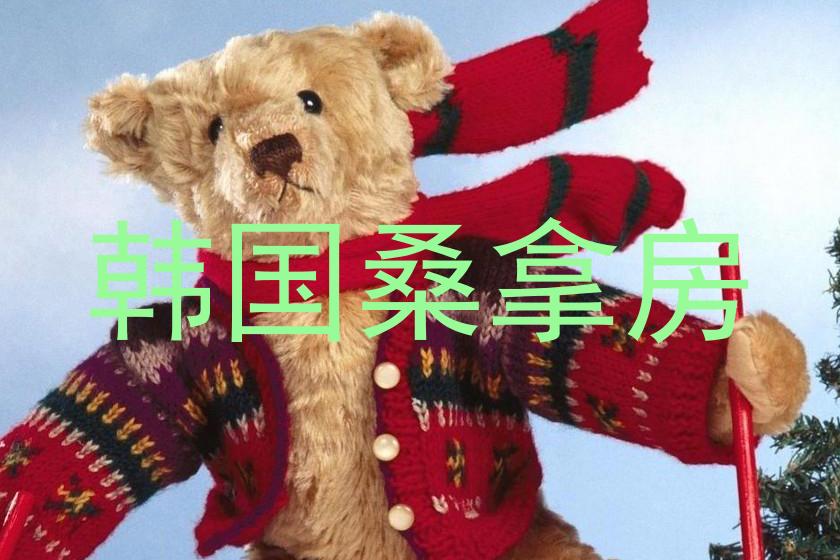 韩国桑拿房