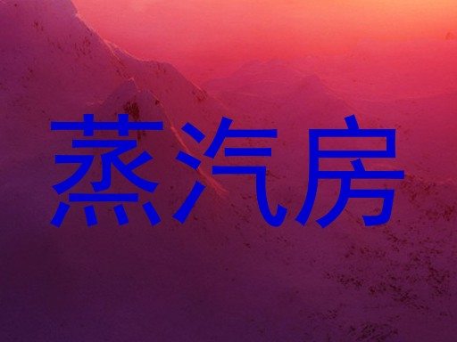 蒸汽房