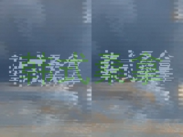 韩式桑拿