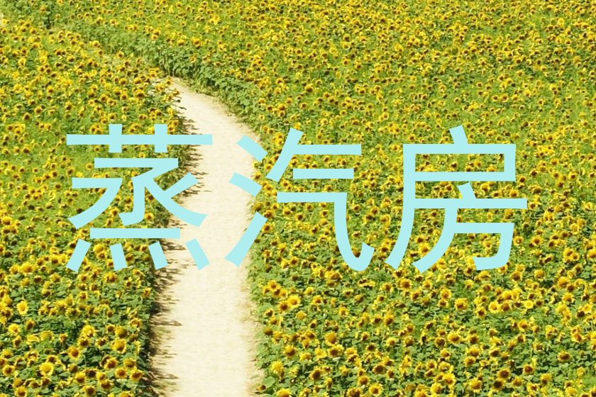 蒸汽房