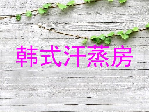 韩式汗蒸房