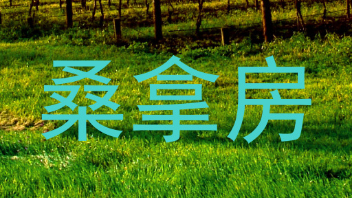 桑拿房