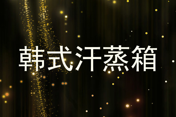 韩式汗蒸箱