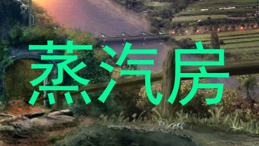 蒸汽房