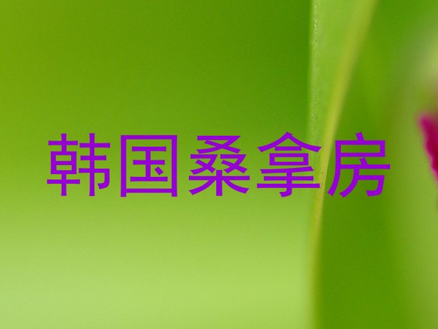 韩国桑拿房
