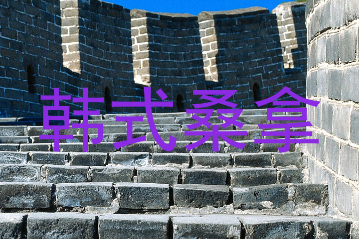 韩式桑拿
