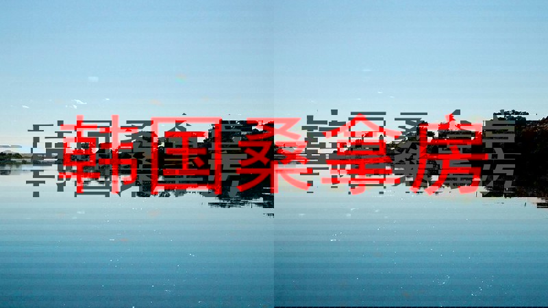 韩国桑拿房