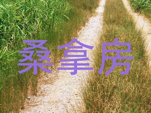 桑拿房