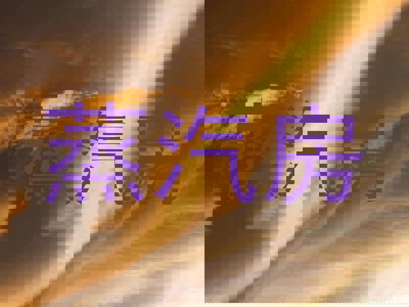 蒸汽房