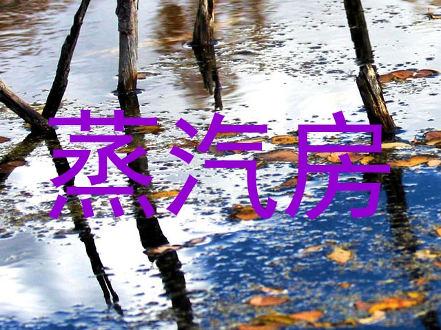 蒸汽房