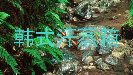 韩式汗蒸箱