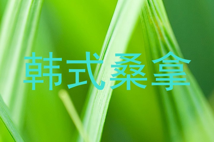 韩式桑拿