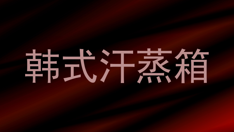 韩式汗蒸箱