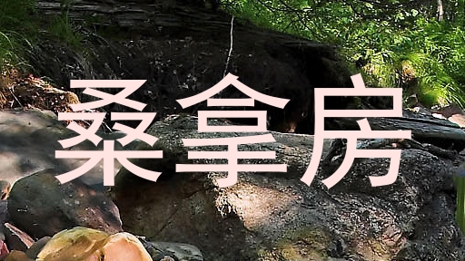 桑拿房
