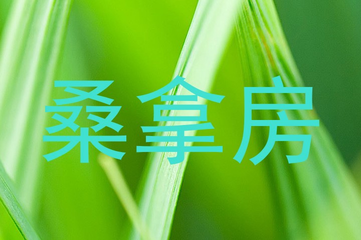桑拿房
