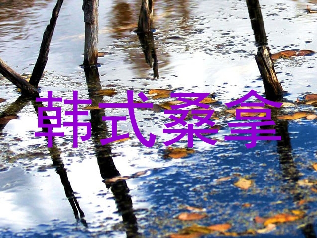 韩式桑拿