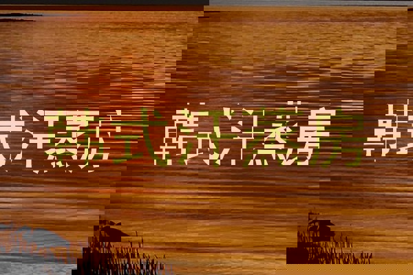 韩式汗蒸房