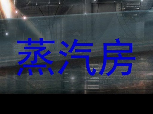 蒸汽房
