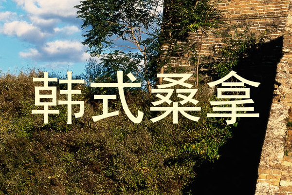韩式桑拿