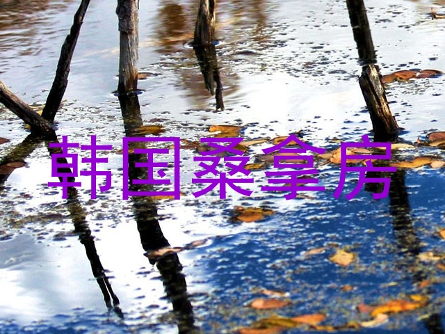 韩国桑拿房