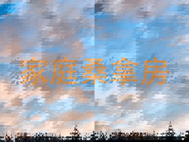 家庭桑拿房